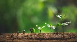 🌟🌟NEW PERMANENT JOB OPPRORTUNITES IN HULL & EAST YORKSHIRE.....